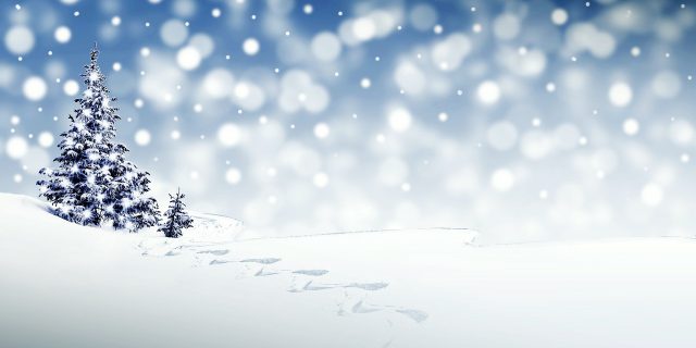 Frohe Festtage